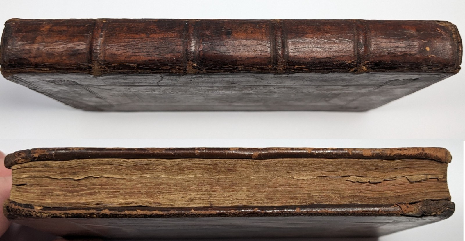 1716 A Collection of Poems Temple of Death 3rd Ed Dryden Rochester Sammelband