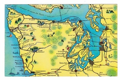 Map Drawing of Olympic Peninsula & NW Washington State, Chrome Postcard Unposted