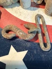Dug Civil War 💥 🇺🇸 💣 Confederate Snake Buckle La