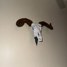 Goat Skull With Wall Mount