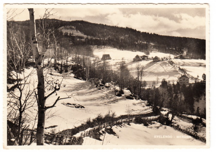 26-02439 - AVELENGO MERANO BOLZANO - PANORAMA VIAGGIATA 1950
