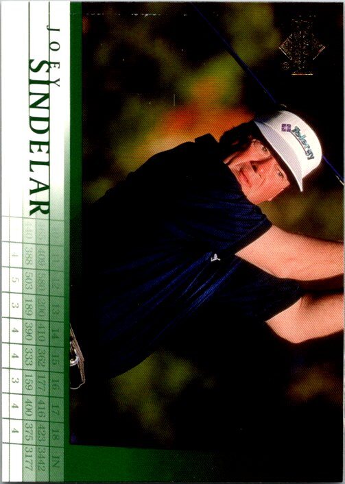 2001 Upper Deck #5 Joey Sindelar