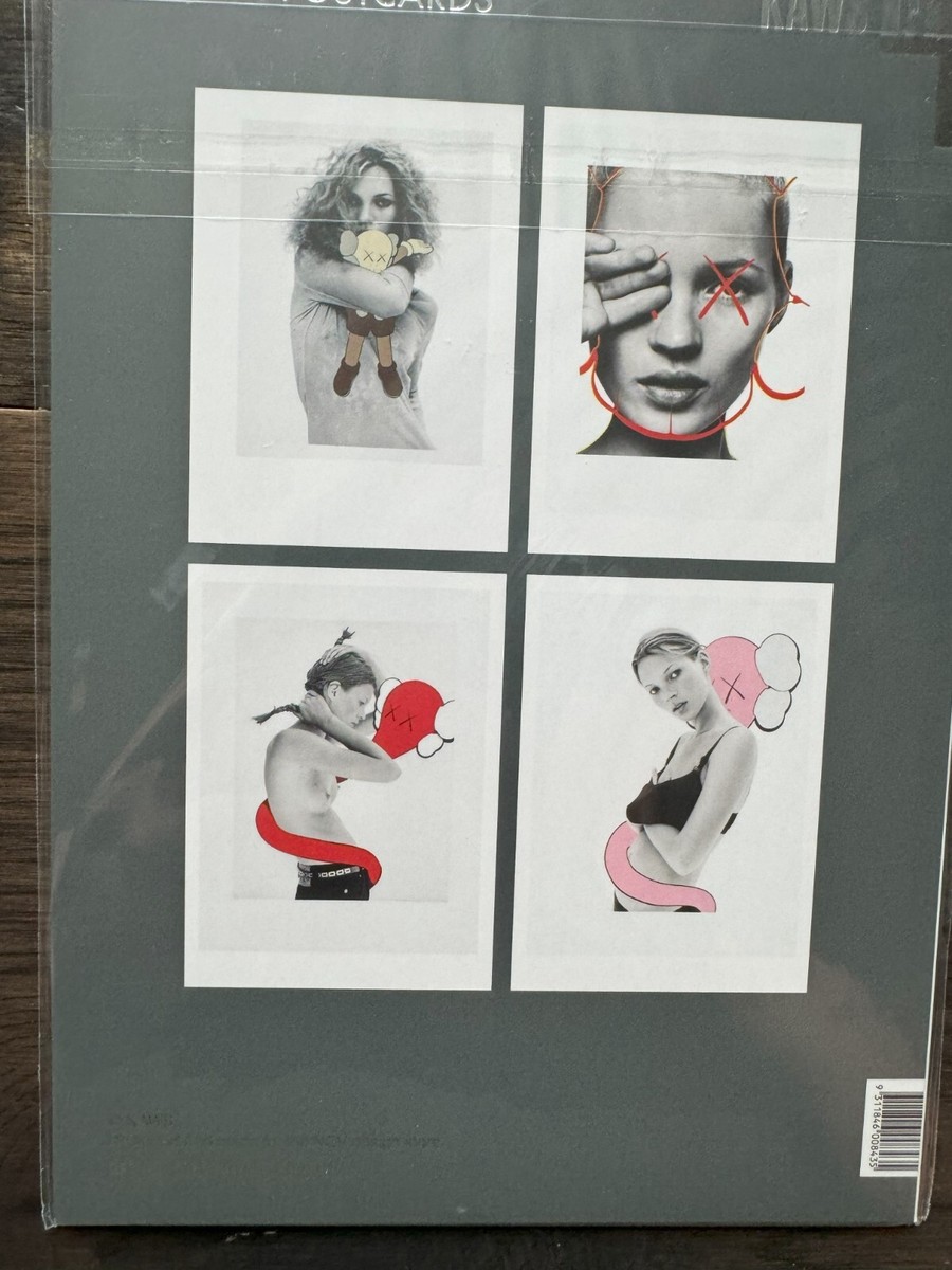 KATE MOSS KAWS ケイトモス カウズ ポスター アート Full Set of 20 KAWS NGV Postcards Kate Moss Lenticular