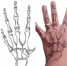 Halloween Kostüm Skelett Hände Fake Tattoos...