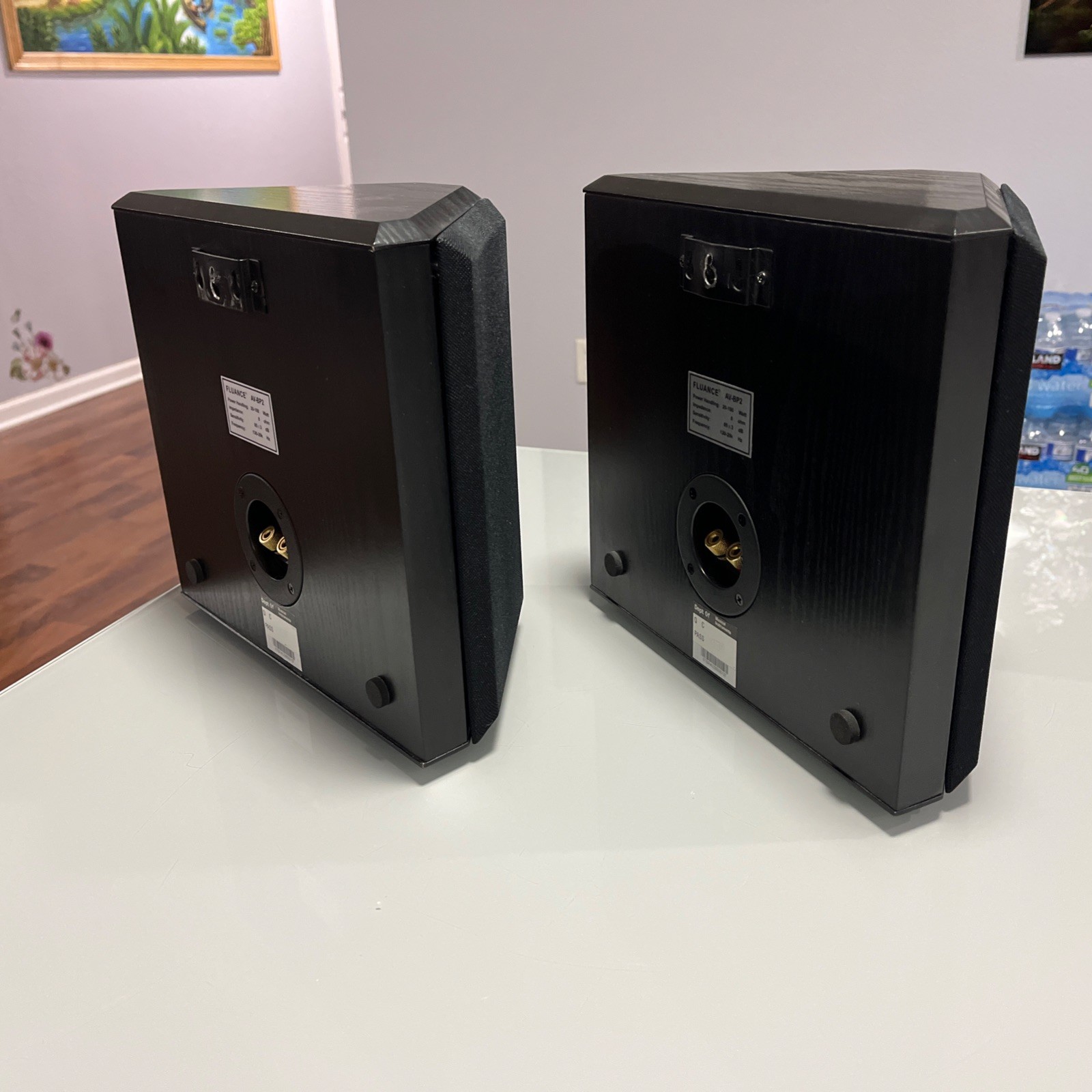 Fluance AVBP2 Surround/Satellite Speakers