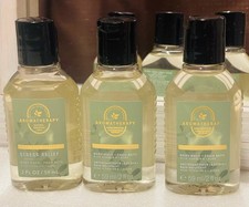 3 Pack Bath  Body Works EUCALYPTUS SPEARMINT Body Wash Foam Bath 2 oz/ea Travel