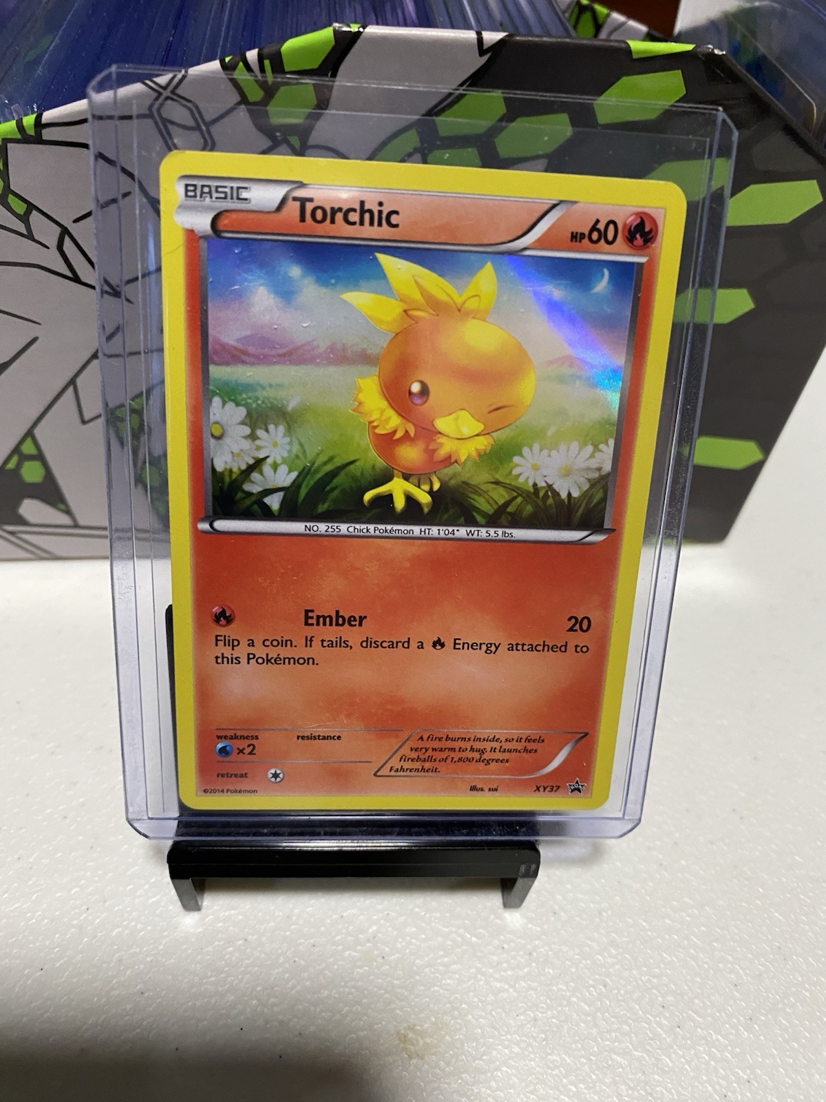Pokemon Torchic Holo Promo XY Promos XY37 NM