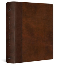 ESV Journaling Study Bible TruTone Brown Chestnut Timeless Design