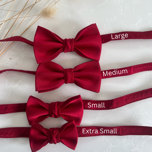 Boy's Red Braces Suspenders and Matching Satin Bow Tie, Valentines Red - Picture 2 of 5