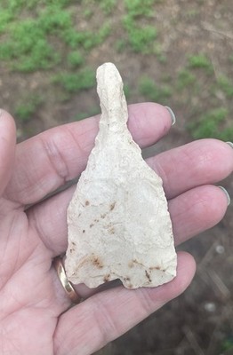 Agate Basin Drill. Morgan Co Kentucky.  3  X 1 1/2 . PALEO.  10k - 8k.