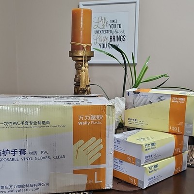 Box of 10 Wally Plastic Disposable Vinyl Gloves Powder-Free Clear Large 1000 Pcs