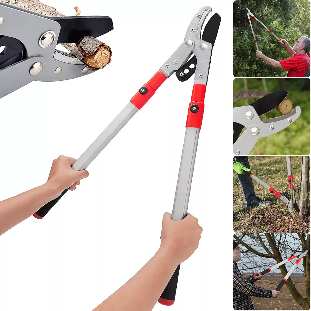 Extendable Garden Scissor Sharp Tree Pruning Shears Branch Trimmer