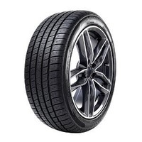 Radar Dimax 4 Season 205/55 R17 95V Xl