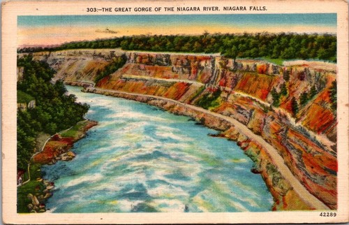 Große Schlucht des Niagara Flusses NIAGARAFÄLLE um 1950 Postkarte - Bild 1 von 2