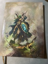 GW Warhammer Fantasy Warhammer Armies - Wood Elves (Limited Ed)