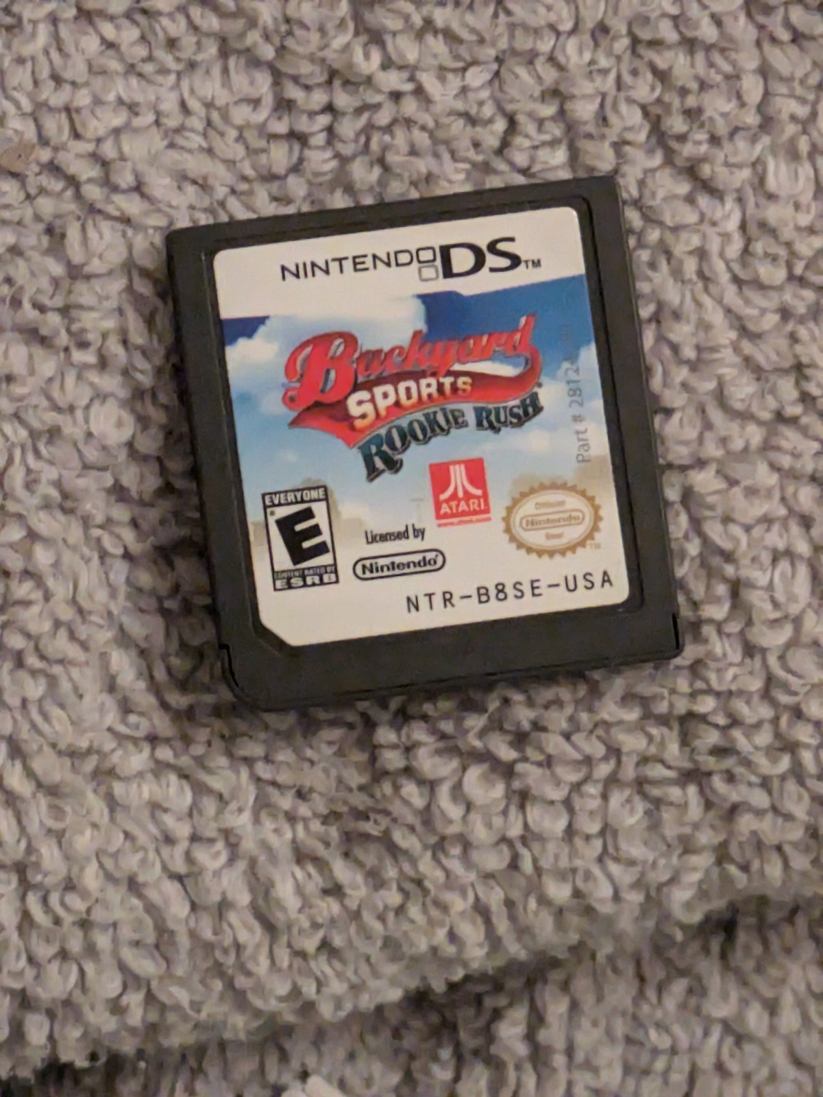 Nintendo DS Backyard Sports: Rookie Rush Tested & Working Authentic NDS ...