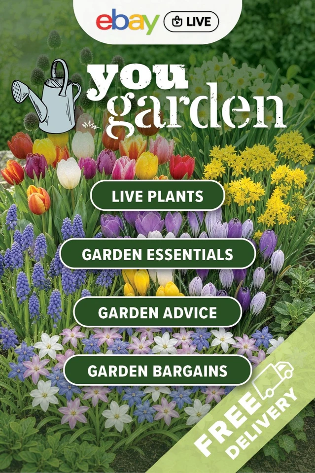 🪴 BIG Plant Bargains with YouGarden 🪴