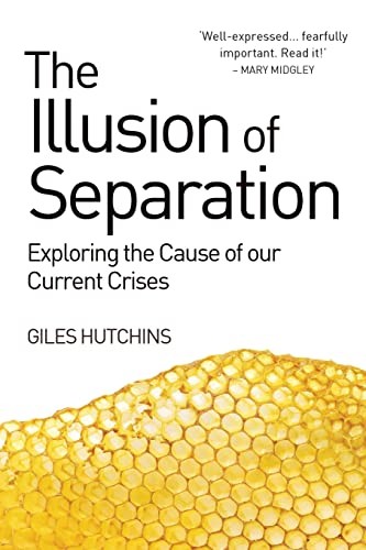 The Illusion of Separation: Exploring the Cause of our Current Crises Hutchins - Image 9