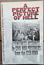A Perfect Picture of Hell: Eyewitness Accounts by Civil War Prisoners from the..