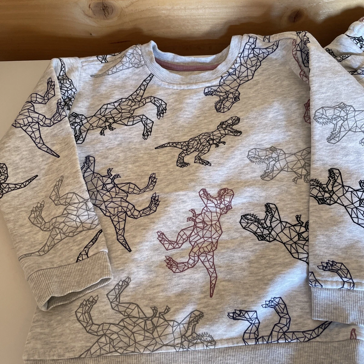 Dinosaur jogging suit sale