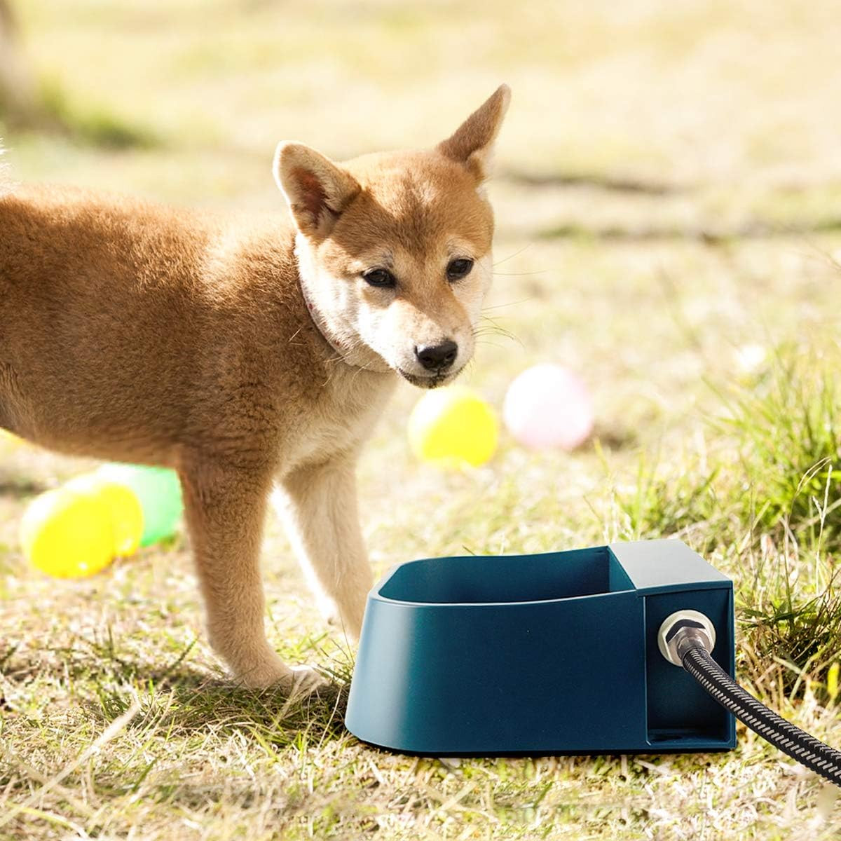 Namsan Abbeveratoio Automatico 2L: Design e Funzionalità per Animali - 4