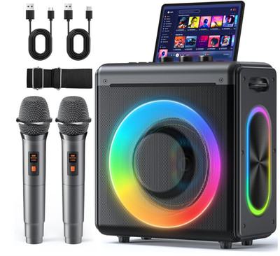Altavoz karaoke portátil con luces LED, TWS, USB, TF, AUX y 2 micrófonos inalámb