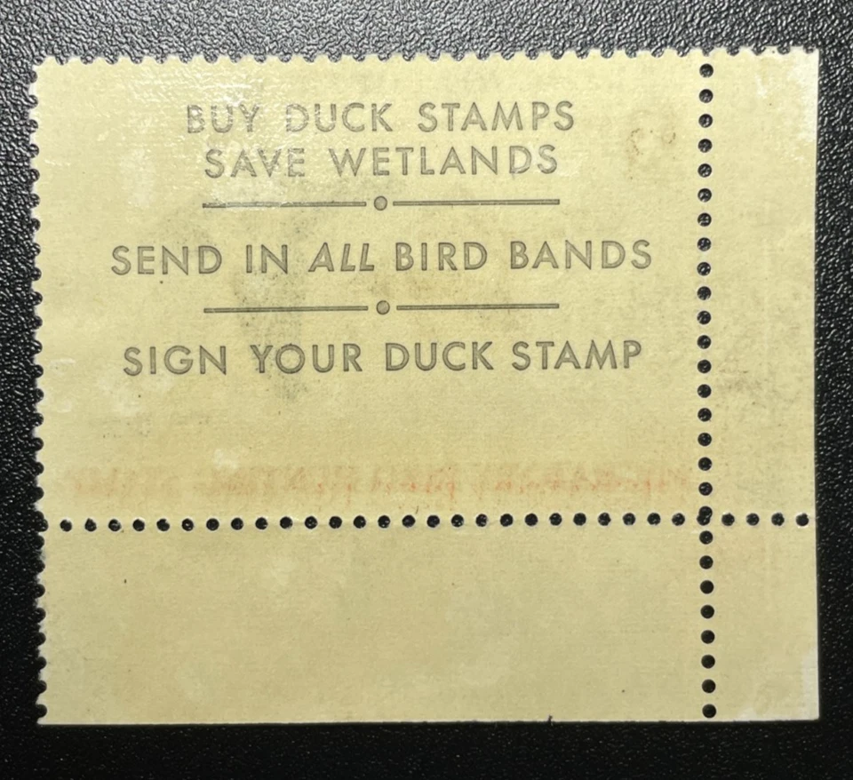 1970 US Federal Duck Stamp RW33 Migratory Bird Stamp * MNH - Image 2 of 3