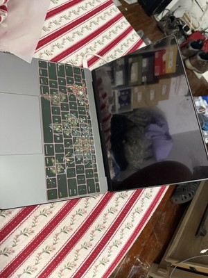 Apple MacBook A1534 12'' Laptop Gray SSD macOS USB-C Bluetooth Wi-Fi Webcam