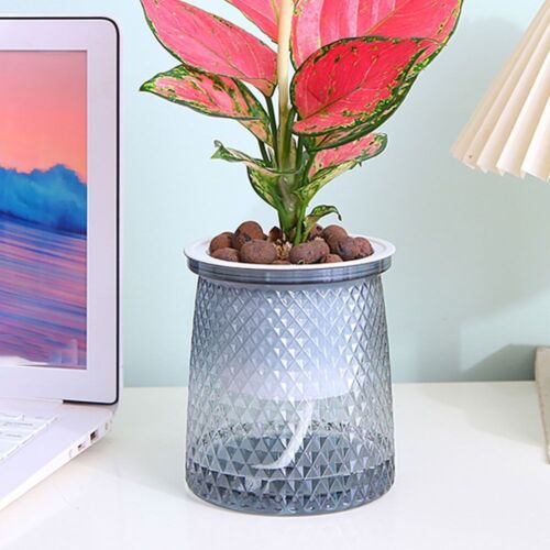 Visible Water Level Plant Pot Self Watering Hydroponic Planter Flower Pot - Picture 6 of 10