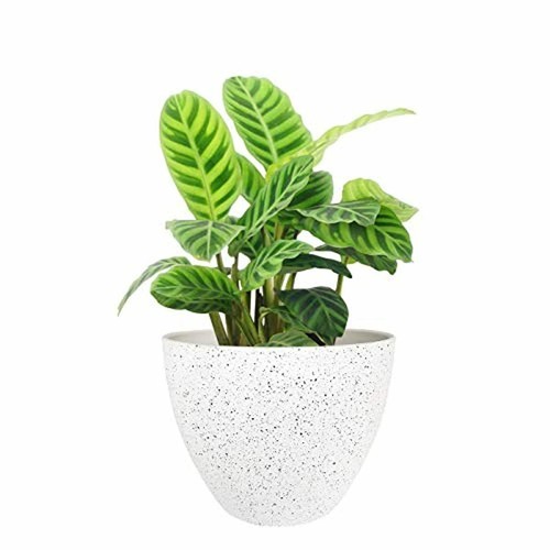 Flower Pots Outdoor Indoor Garden Planter Containers White (8.6 Inches, 1 Pack) - Picture 7 of 7