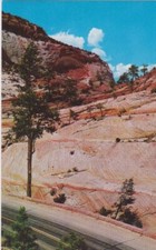 White Arch-Mt. Carmel Highway-Zion National Park, Utah