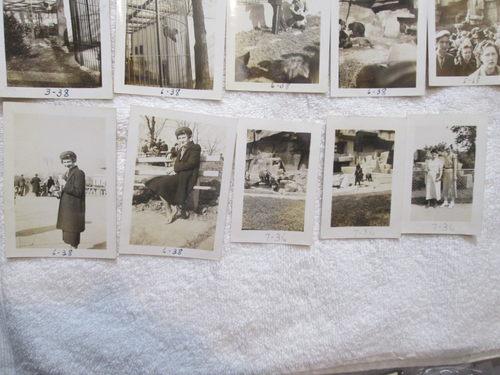 23 FOTO ISTANTANEE originali Family Estate anni '30 Chicago Brookfield Zoo - Foto 6 di 6