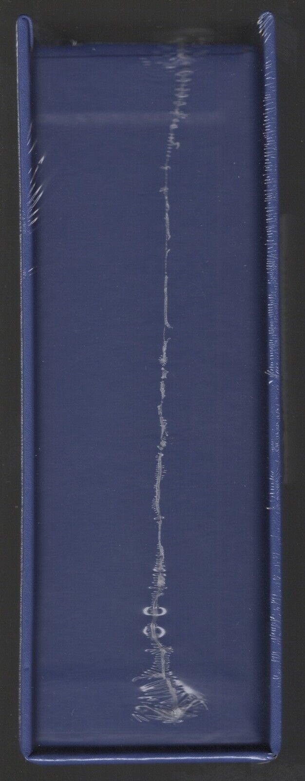 Picture 6 of 14
