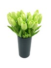 Afbeelding 25 van 37
