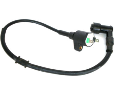Zündspule LG 180/190, RS 180/190/220 Aeon Cobra Overland