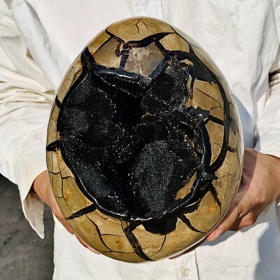 15.4LB Natural Turtle Back Stone Dragon Crystal Cave Crack Gem Healing