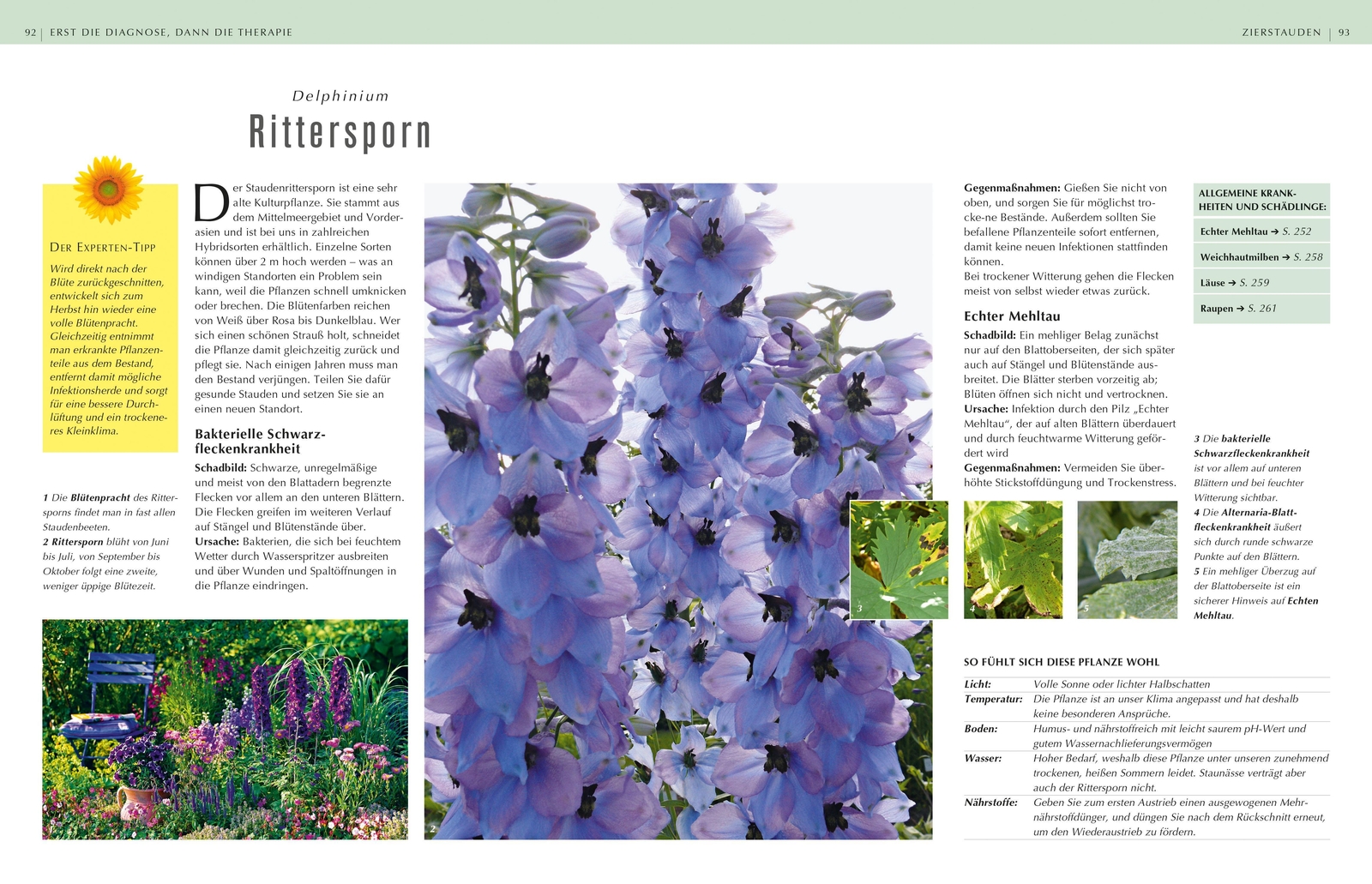 Thumbnail - Rettung In Sicht - Der Pflanzendoc Einsatz | Gmbh | Buch | 264 S. |