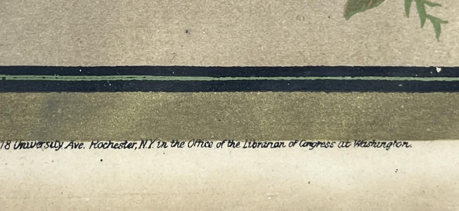 Picture 18 of 24