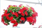 Bild 10 von 15