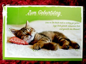 Geburtstagskarte Katze Mit Umschlag Neu Ebay