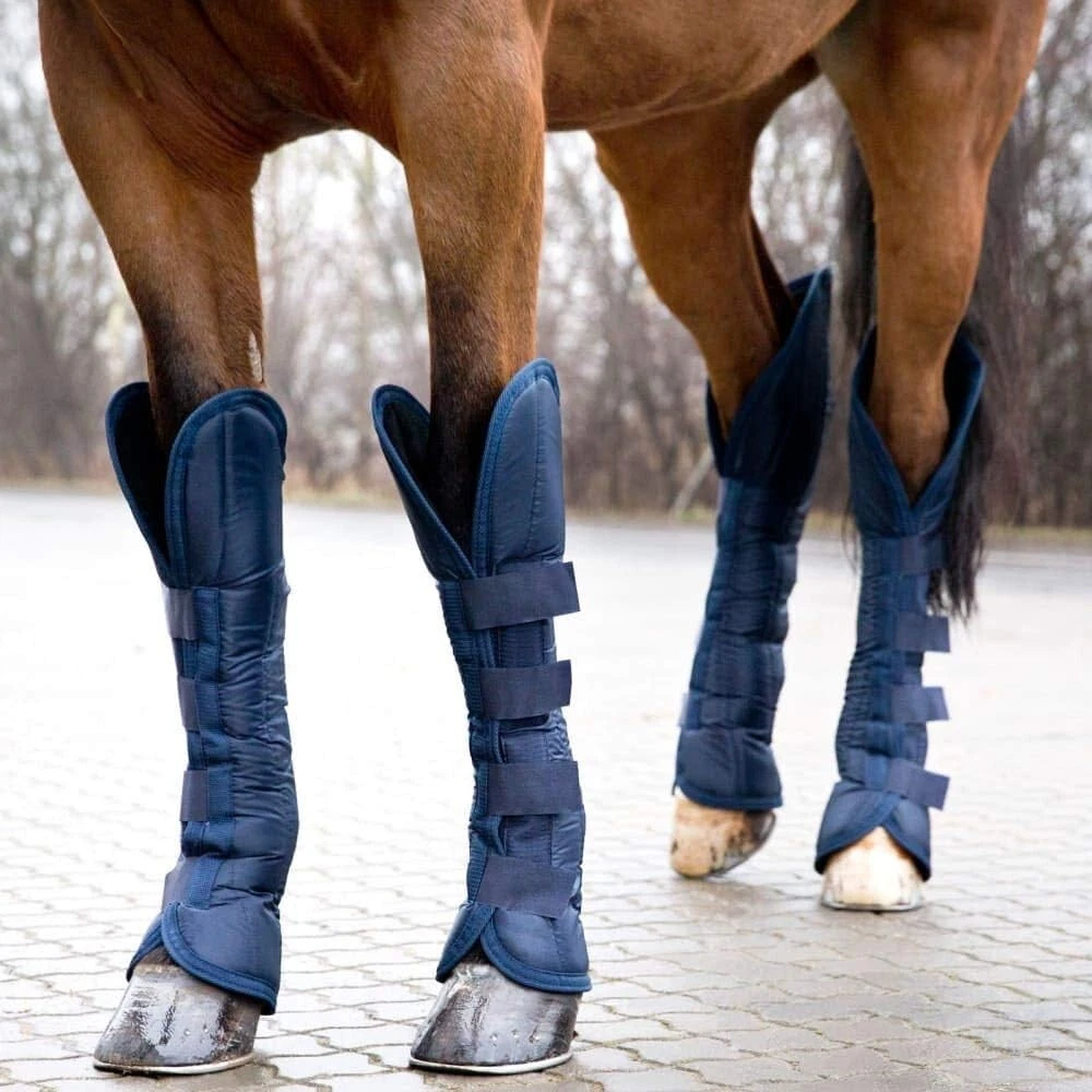 Bottes d'équitation en cuir femme Horze Genève - Bottes - Chaussures - Equitation