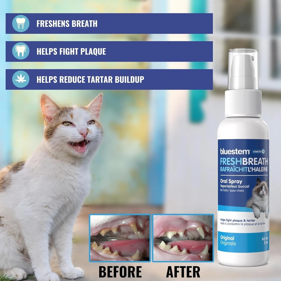 BNIB Cat Oral Spray Breath Freshener Dental teeth and mouth cleaning spray lot - Image 4 of 4