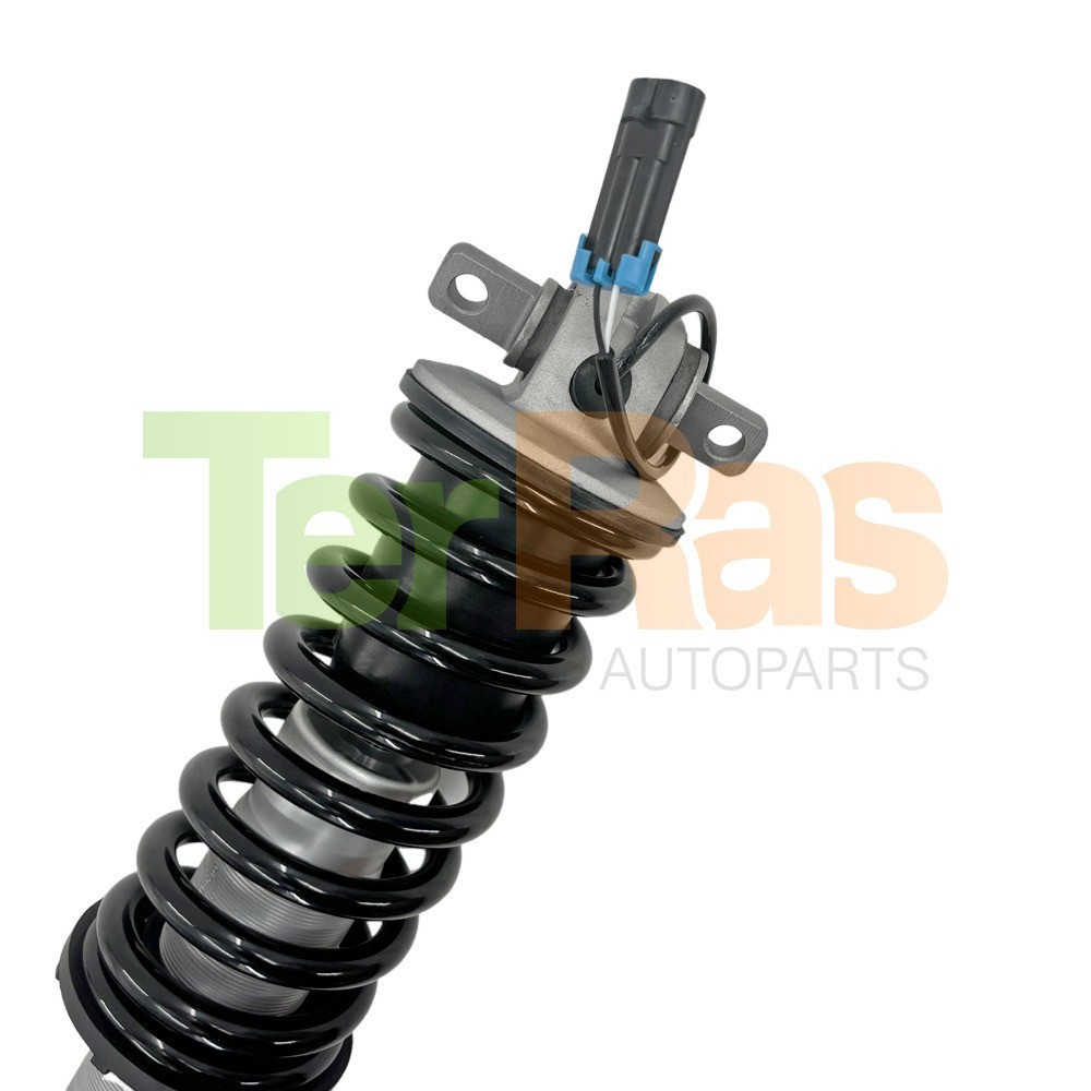 Pair Rear Shock Struts Magnetic Assys Fit Ferrari F430 #212543 190677 2005-2009