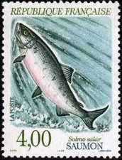 France Yvert Num 2665 ** POISSON Saumon 1990