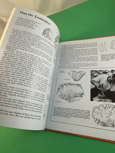 Prehistoric Life Encyclopedia 1981 Vintage Checkerboard Press Dinosaurs Maps HC - Picture 8 of 10