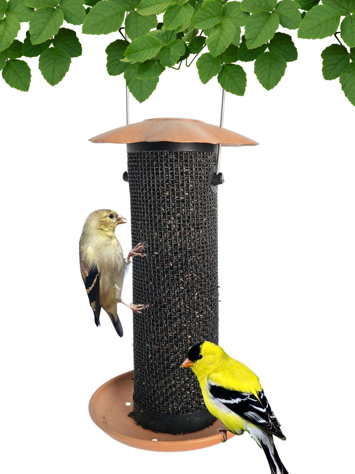 - Petite Nyjer Thistle Feeder