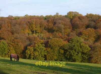 Photo 6x4 View across a valley east of Bockmer End in November The wooded c2013