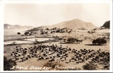 Postcard RPPC TX - A Ranch Scene Near Pecos - aerial