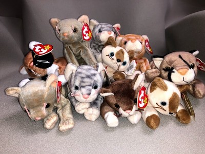 Beanie Baby - Cat Lot | eBay