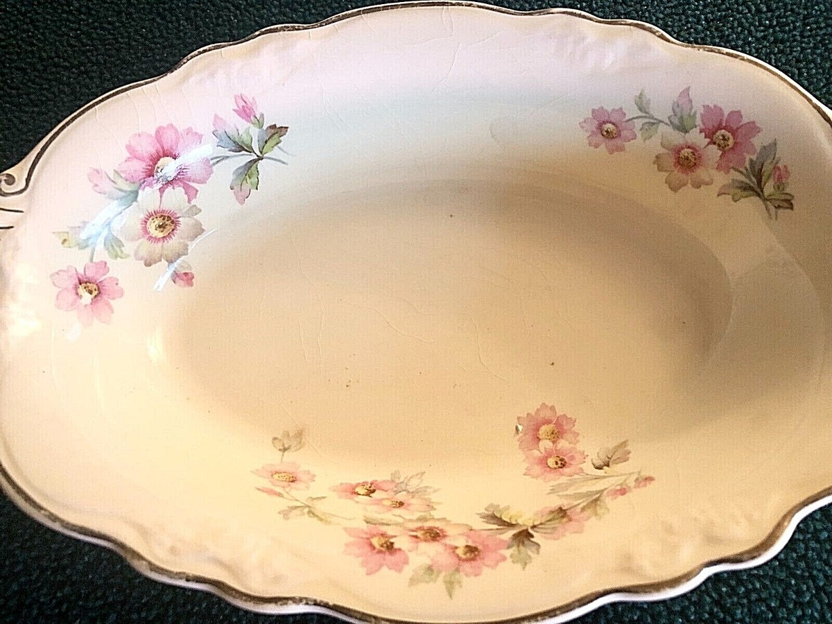 Homer laughlin 2025 virginia rose china
